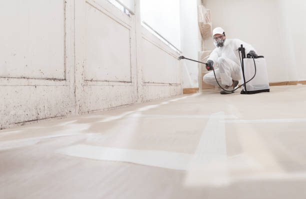 24/7 Emergency Mold Cleanup experts in Knoxville, TN