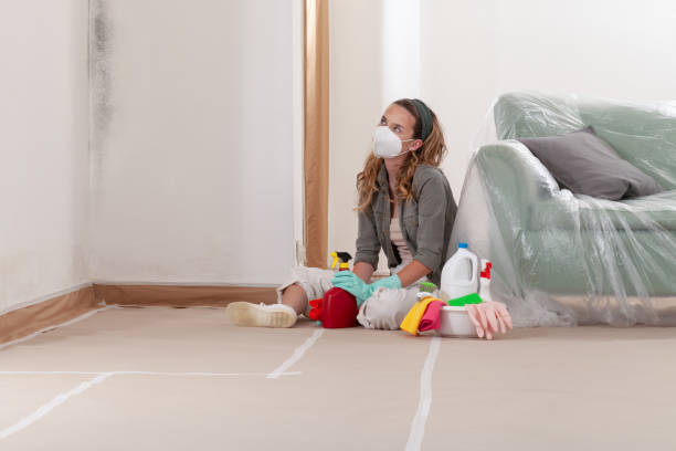 Reliable Mold Cleanup contractor in Knoxville, TN by Cheap Mold Removal